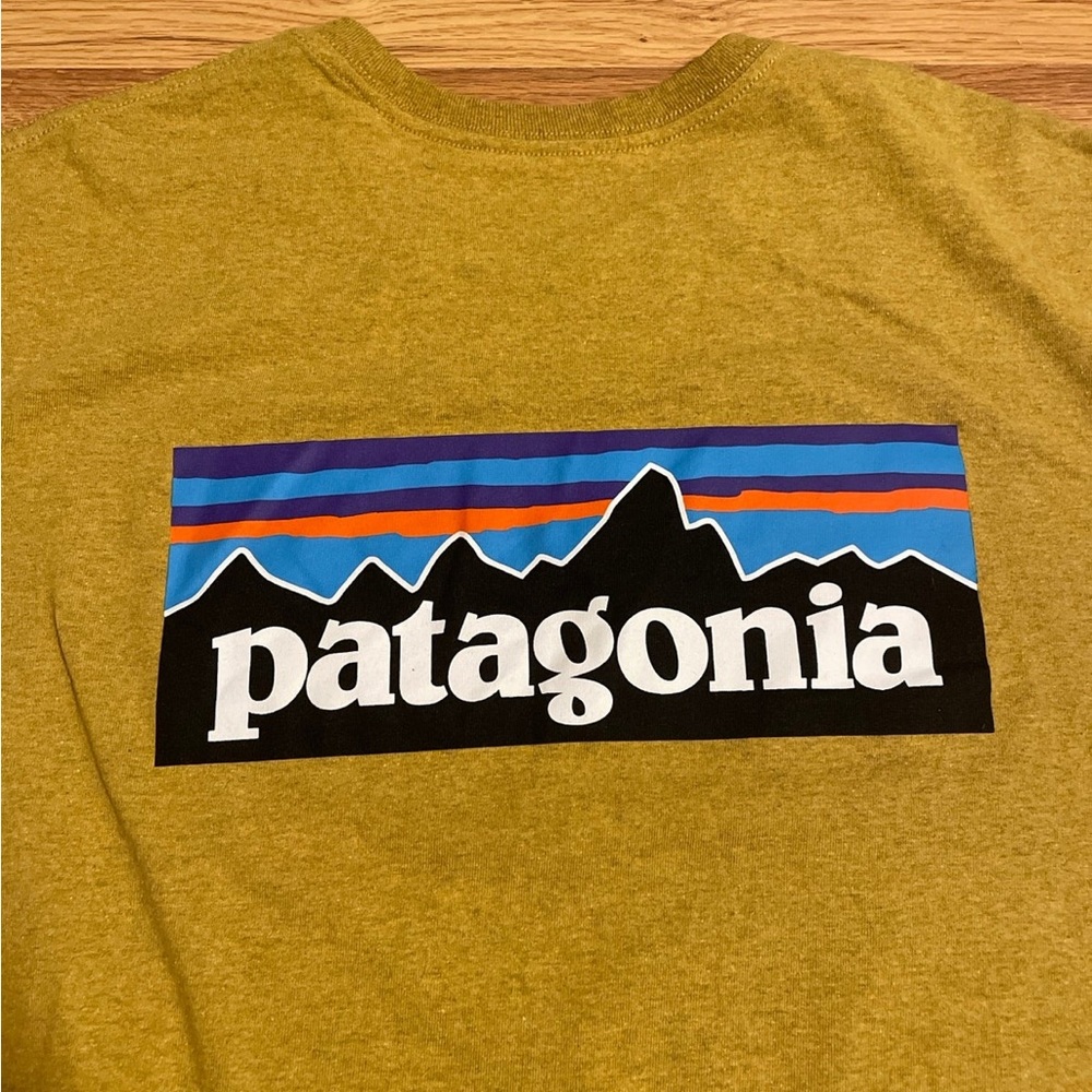 Patagonia XXL Men’s Tee